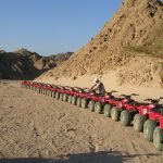 studiereis-egypte-037