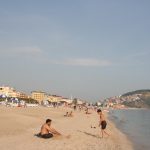 img_0259
