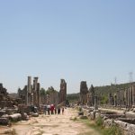 img_0348