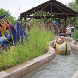 img_2873