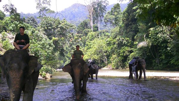 Sumatra en Bali