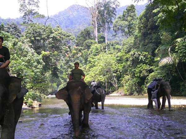 Sumatra en Bali