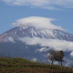 mg_2243a
