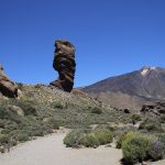 mg_2385a