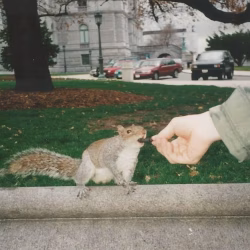 scan0011