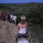 studiereis-aruba-2011-036