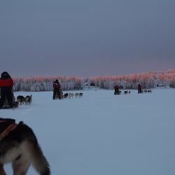 studiereis-vrij-uit-lapland-mireille-064