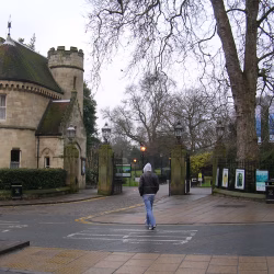 york-006