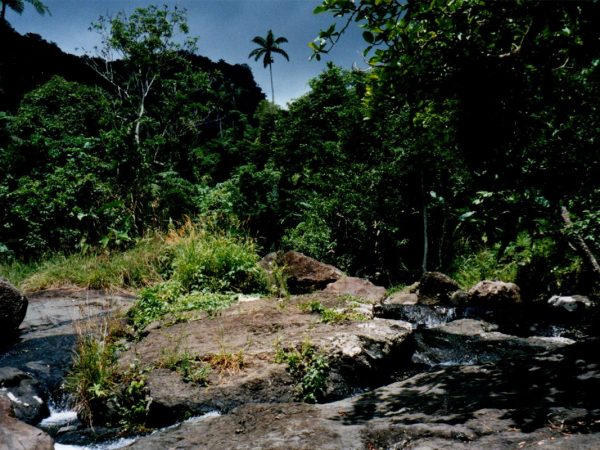 Fiji