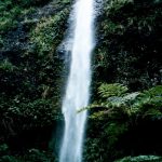 img0261