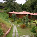 vakantie-madeira-088