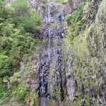 vakantie-madeira-104