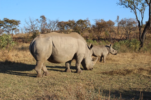 Kololo game reserve