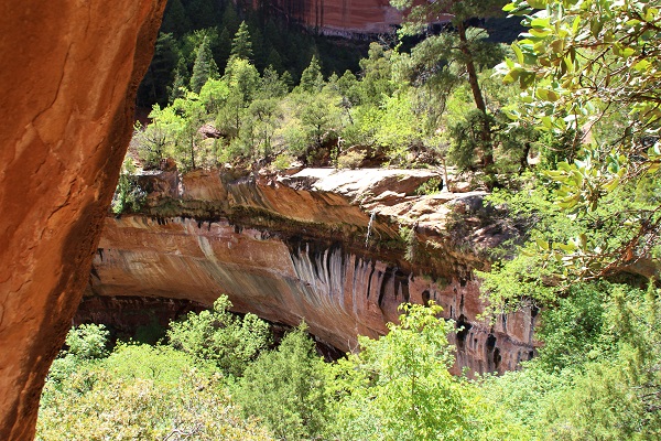 Zion National Park
