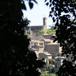 _MG_6986a