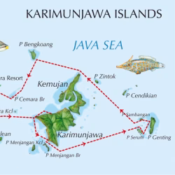 alam kita6