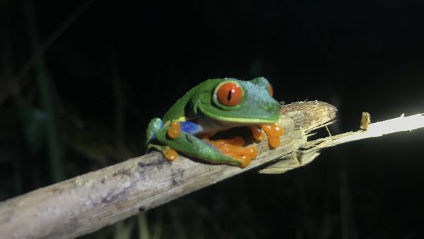 La Fortuna – Arenal vulkaan
