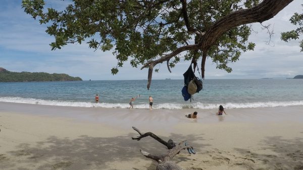 Tamarindo