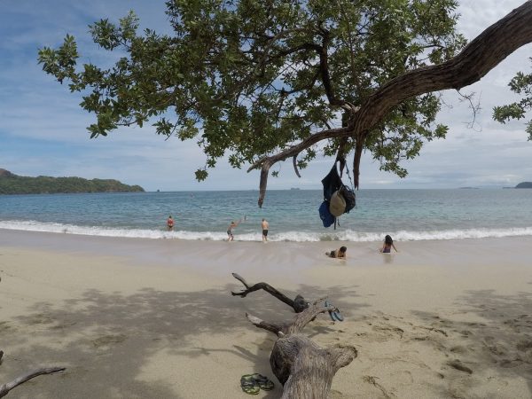 Tamarindo