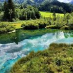 Zelenci Nature reserve