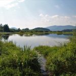 Lake Cerknica