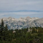 Velika Planina