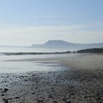 website 4