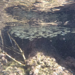 DCIM100GOPROGOPR2484.JPG