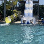 IMG_0487