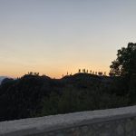 IMG_0515