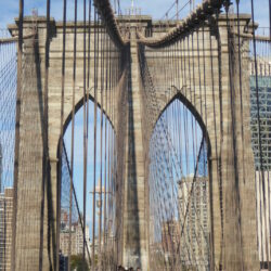 P1070299