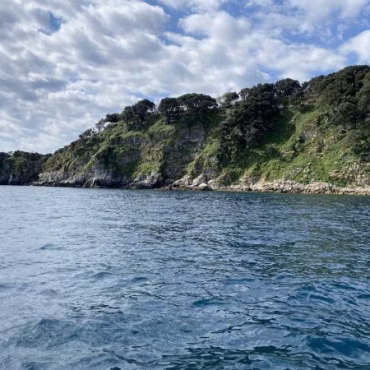 Verrijkers Chalkidiki Griekenland
