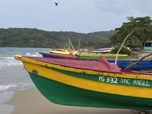 15 daagse autorondreis Jamaica