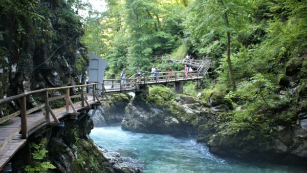 14 daagse autorondreis Slovenië