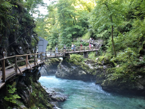 14 daagse autorondreis Slovenië