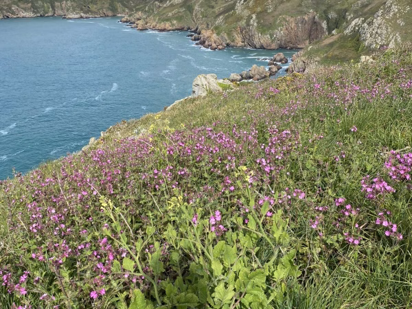 8 daagse groepsexcursie reis Guernsey