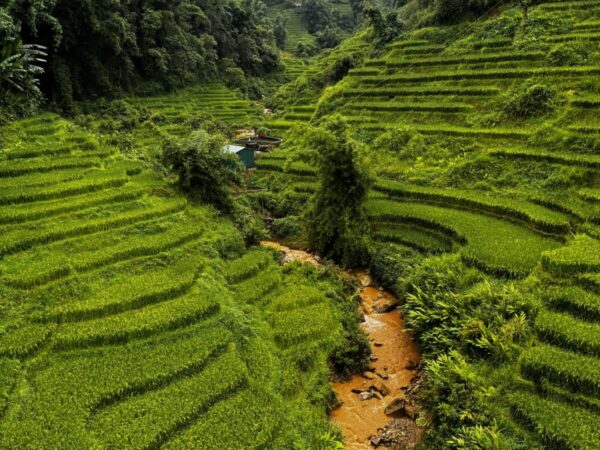 Vietnam met pubers avontuur, actie en heel veel “wauw” momenten