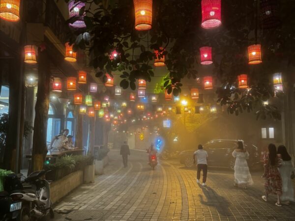 Van hobbelige nachttrein naar neon in de bergen twee dagen in Sapa