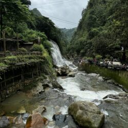 IMG_6667