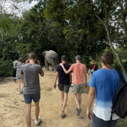 Op pad met olifanten een bijzondere dag bij Kulen Elephant Sanctuary