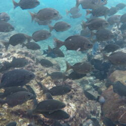 DCIM100GOPROGOPR1760.JPG