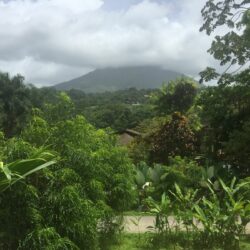 IMG_0922