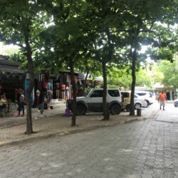 IMG_6726