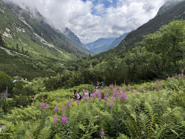 Vakantie Polen: steden, natuur en cultuur in één reis