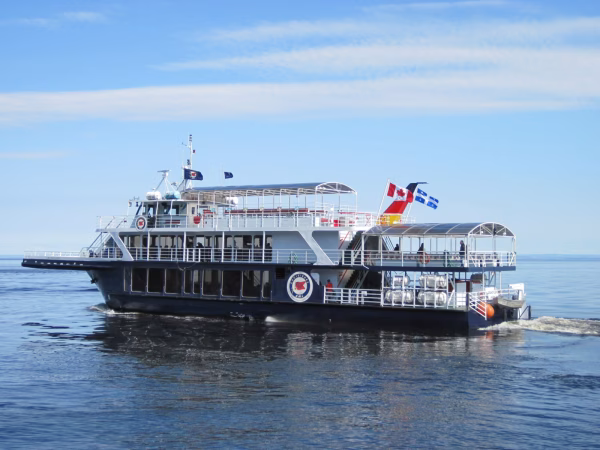 Walvissen en orka’s spotten. De magie van Canada’s oceaandieren