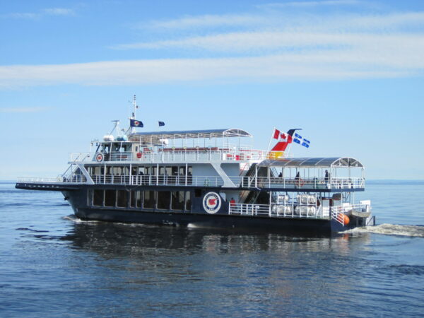 Walvissen en orka’s spotten. De magie van Canada’s oceaandieren