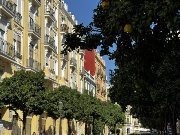 Barcelona en Valencia combineren: zo reis je makkelijk met de trein