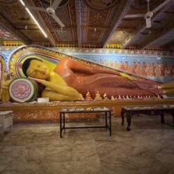 IMG_0477 - kopie - kopie - kopie