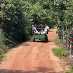 IMG_0626 - kopie - kopie - kopie