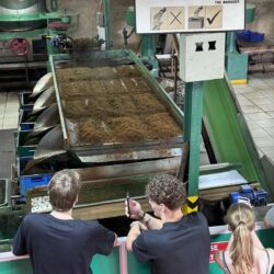 IMG_1065 - kopie - kopie - kopie